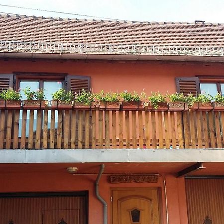 Gite Du Vigneron Mittelwihr Exterior foto